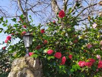 WhatsApp Image 2020-07-15 at 23.02.19